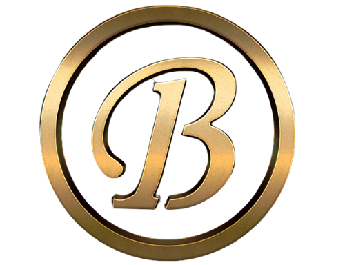 Logo of B1 Protection Services
